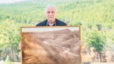 Une colline stérile devient une forêt luxuriante grâce aux millions d’arbres plantés par un chef forestier turc et des villageois