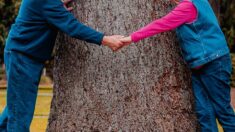 Ils ont 100 ans dont 80 ans de mariage: une longévité impressionnante!