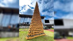 Festival Miel Vert: ils réalisent la plus grande tour de fruits du monde, avec 7,5 mètres de haut