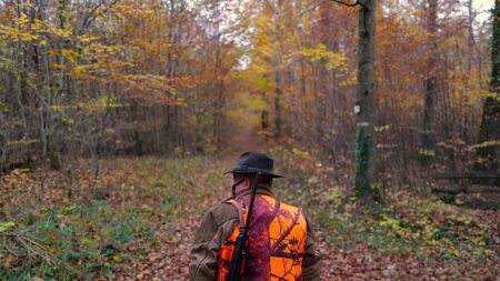 Chasse: le gouvernement s’apprête à trancher sur l’interdiction de chasser le dimanche