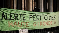 Le label agricole « haute valeur environnementale » attaqué pour tromperie et « greenwashing »