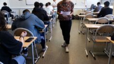 Une nouvelle série télé sur un lycée agricole tournée en Bretagne