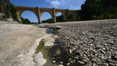 Eau: les nappes phréatiques à des niveaux « préoccupants » dans une grande partie de la France