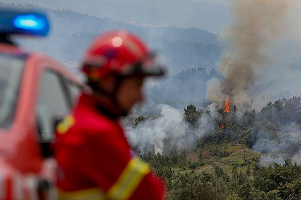 Photo illustration. (PEDRO ROCHA/AFP via Getty Images)