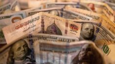 Egypte: la livre dévaluée de près de 50% pour répondre aux critères du FMI