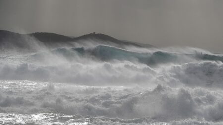 Tempête Fien: chutes d’arbres et 15.000 coupures d’électricité dans le Sud-Ouest