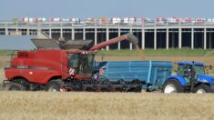 Logistique: l’essor des plateformes géantes ne fait pas que des heureux