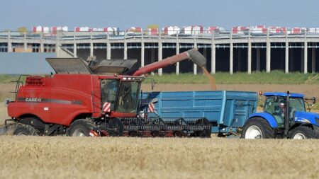 Logistique: l’essor des plateformes géantes ne fait pas que des heureux