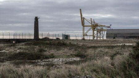 Usine ou ferme ? En Gironde, une bataille du saumon a commencé