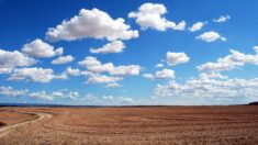 « Dis-moi, pourquoi le ciel est bleu ? »