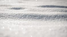 De la neige est tombée au Mont Mézenc, à la croix de Peccata, pour l’Ascension