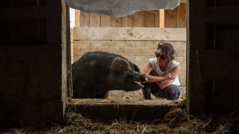 Noémie Calais, jeune éleveuse de porcs (Capture d'écran Facebook Noémie Calais)