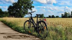 Dans la Marne, une ancienne voie ferrée se transforme en piste cyclable