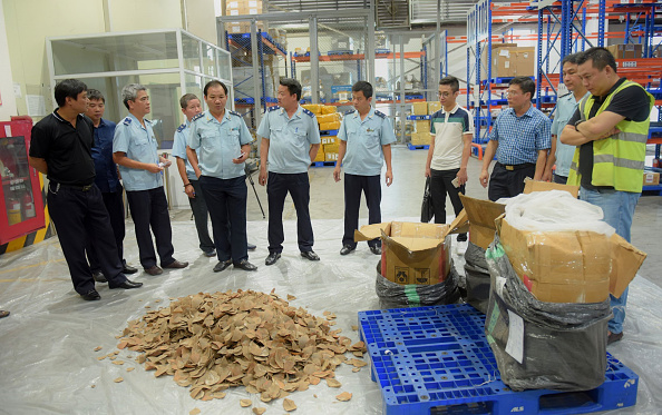 Des douaniers vietnamiens vérifient des écailles de pangolin saisies à Hanoï. (Illustration - VIETNAM NEWS AGENCY/AFP via Getty Images)