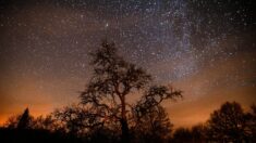 Une petite météorite a survolé le nord de la France, pas de dégâts