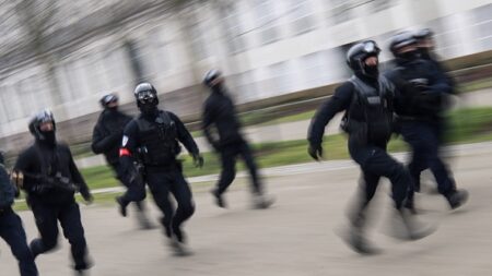 Seine-Saint-Denis: 700 kg de cannabis découverts dans un parking