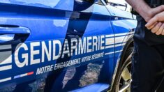 Deux ans avec sursis et retrait de permis pour un chasseur qui en a tué un autre