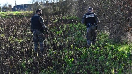 Les parents du meurtrier présumé de Magali Blandin se sont suicidés