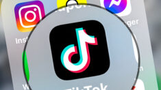 TikTok: « une opacité bien supérieure » aux autres réseaux sociaux, selon Malhuret