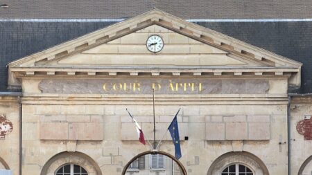 Enfant battu à mort à Mulhouse: le frère condamné fait appel