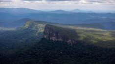 Brésil: des orpailleurs fuient les terres yanomami avant l’arrivée de la police