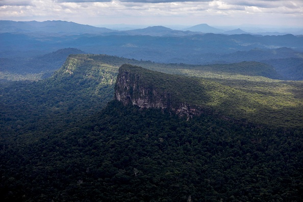 Vue aérienne de la forêt amazonienne sur le territoire indigène Yanomami dans l'État de Roraima, au Brésil. (Photo : MICHAEL DANTAS/AFP via Getty Images)