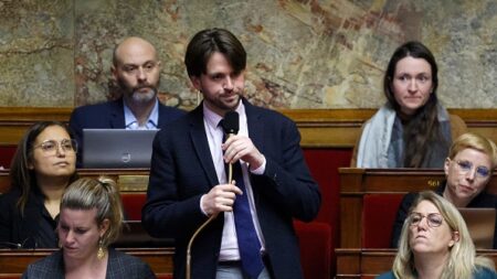 Retraites: un député LFI traite Dussopt d’ « imposteur » et d’ « assassin » et suscite l’indignation