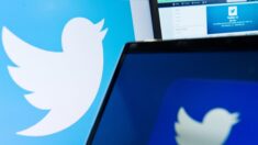 Twitter lance en France sa version payante et ses labels différenciés