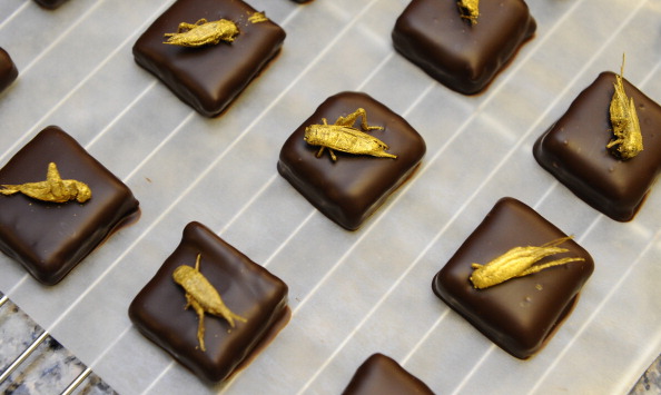 Des chocolats garnis d'insectes en 2013 dans la chocolaterie de Sylvain Musquar à Villers-les-Nancy. (Photo : JEAN-CHRISTOPHE VERHAEGEN/AFP via Getty Images)