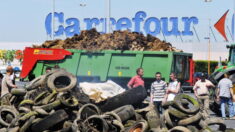 Devant le siège de Carrefour, des éleveurs réclament d’être mieux payés pour leur lait