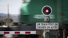 Vieille-Église: une fillette de 11 ans et sa grand-mère meurent percutées par un train de fret