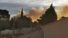 Incendie dans le massif des Alpilles, quelque 130 hectares parcourus