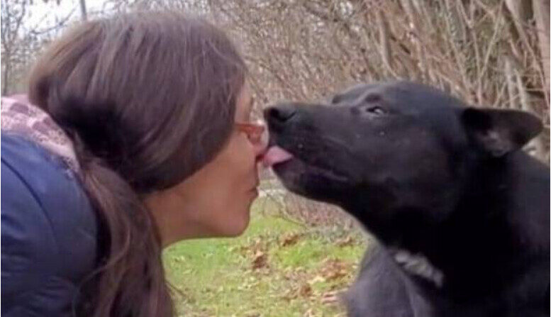 Cynthia Hayaer et Lycos, le chien trouvé le 26 janvier 2023 à Lille. (Capture d'écran Cynthia Hayaer LA Blonde)