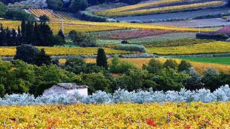 Quand les sociétés prennent soin de la diversité du vivant : paysage rural des Baronnies provençales.
Laurent Simon, Fourni par l'auteur