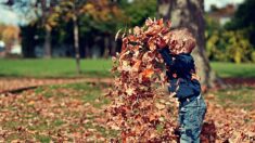 Végétaliser les cours de récréation pour encourager la curiosité des enfants