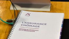 Assurance chômage: une disparité inique entre salariés et intermittents du spectacle