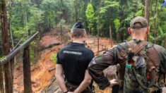 Un gendarme tué en Guyane lors d’une opération anti-orpaillage illégal