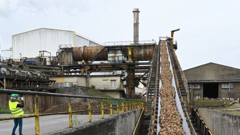 Une usine sucrière dans les environs de Lille, le 23 septembre 2019. (Photo by DENIS CHARLET/AFP via Getty Images)