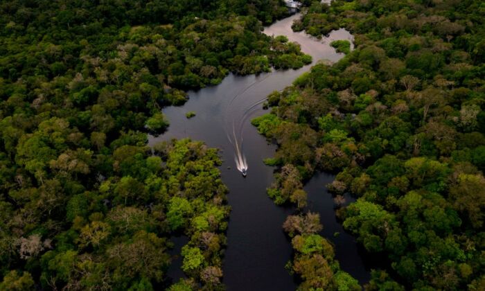 La rivière Jurura dans la municipalité de Carauari, au cœur de la forêt amazonienne brésilienne, le 15 mars 2020. (Florence Goisnard/AFP via Getty Images)




