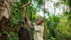 «One Forest Summit»: à Libreville, la protection des forêts ne doit pas occulter les droits humains