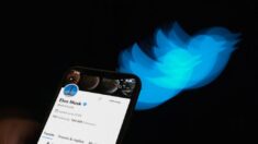 Twitter définitivement condamné à détailler ses moyens de lutte contre la haine en ligne