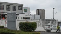 Pizzas contaminées: l’usine Buitoni de Caudry mise à l’arrêt à cause d’une chute des ventes