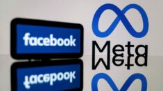 Meta, maison-mère de Facebook, annonce travailler sur un nouveau réseau social