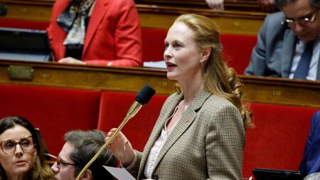 Retraites : le domicile lillois d’une députée Renaissance muré par des militants