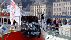 Des pêcheurs manifestent devant le domicile de la présidente de Sea Shepherd France