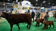 Salon de l’agriculture: le régime des agriculteurs est «l’un des plus misérables de France»