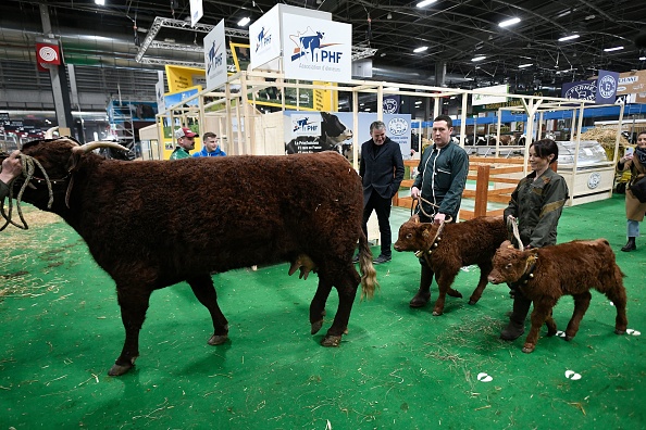 L'édition 2023 du Salon international de l'agriculture, à Paris du 25 février au 5 mars 2023.   (STEPHANE DE SAKUTIN/AFP via Getty Images)