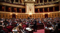 Retraites: le Sénat fait du surplace, poursuite des grèves et doutes sur une majorité à l’Assemblée