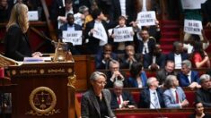 Article 49.3 et réformes sociales: une histoire française