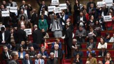 Pour l’exécutif, au Parlement comme dans la rue, la bataille des retraites s’accélère